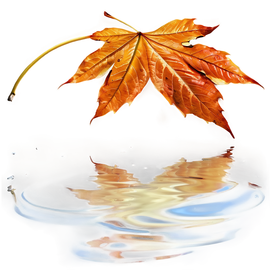 Autumn Leaf On Water Png 06202024 PNG Image