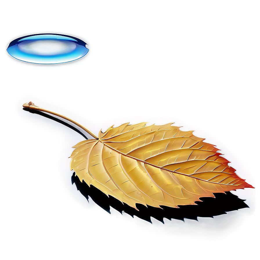 Autumn Leaf On Water Png 65 PNG Image