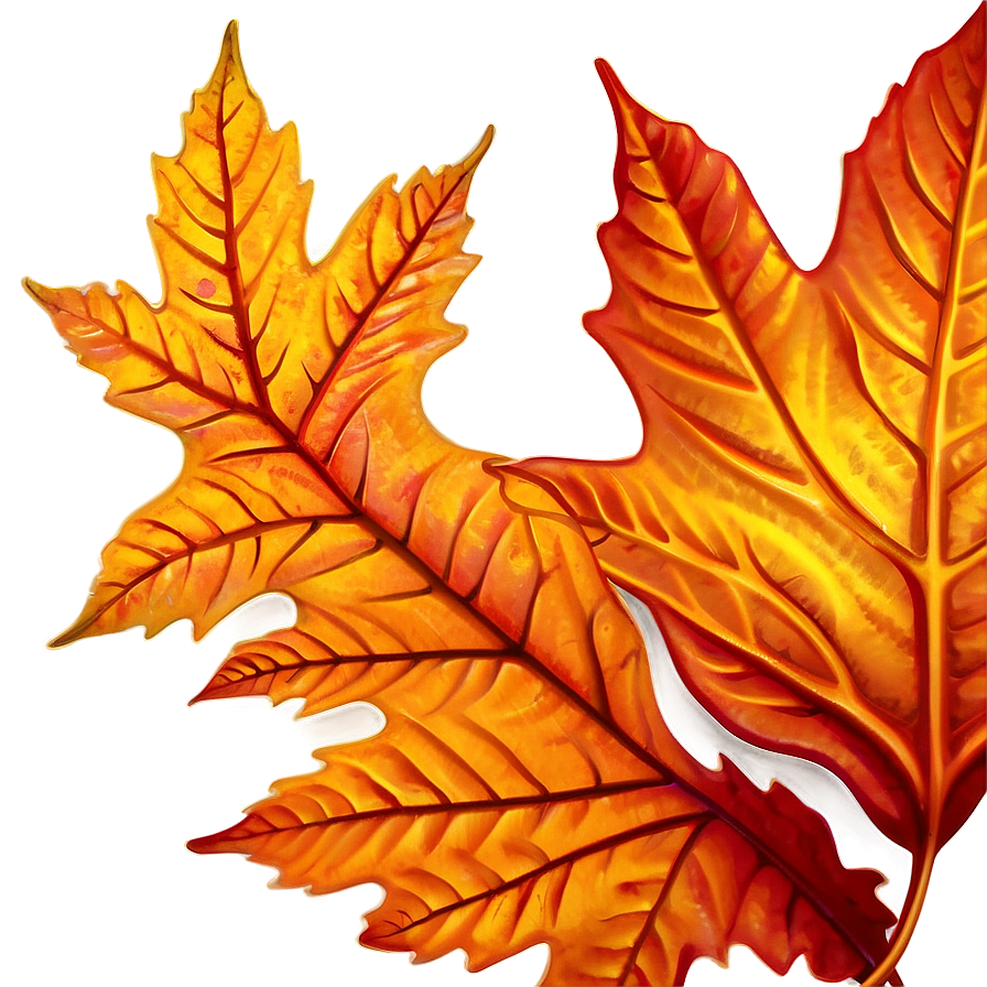 Autumn Leaf Outline Png Epn PNG Image