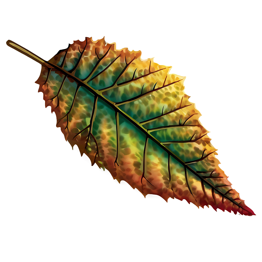 Autumn Leaf Png 05032024 PNG Image