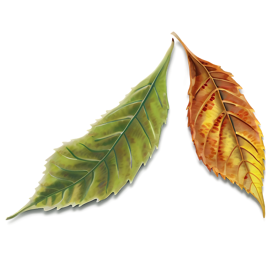 Autumn Leaf Png Opi PNG Image