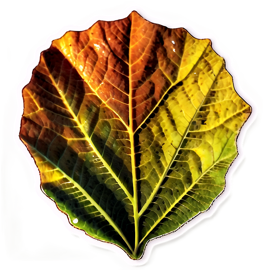 Autumn Leaf Sticker Png 66 PNG Image