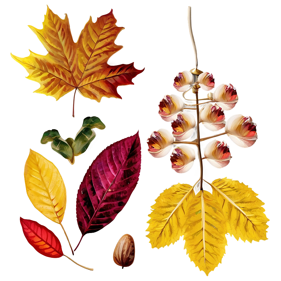 Autumn Leaves And Flowers Png 04292024 PNG Image