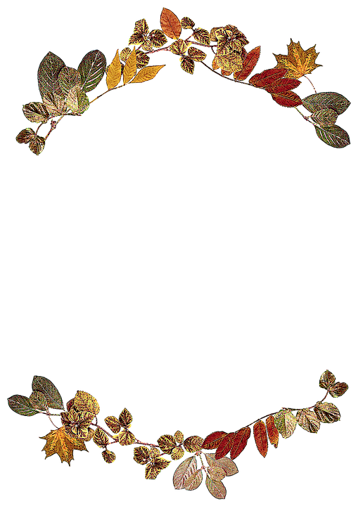 Autumn_ Leaves_ Arch_ Frame PNG Image