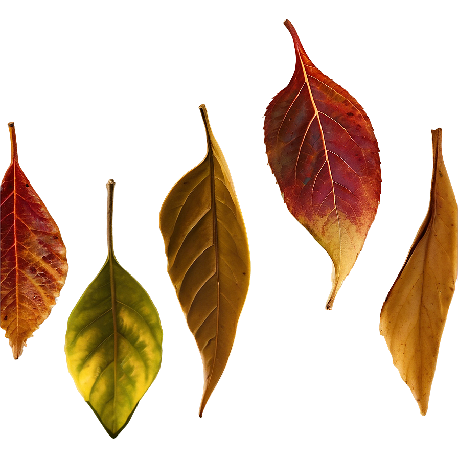 Autumn Leaves Background Png Xvp PNG Image