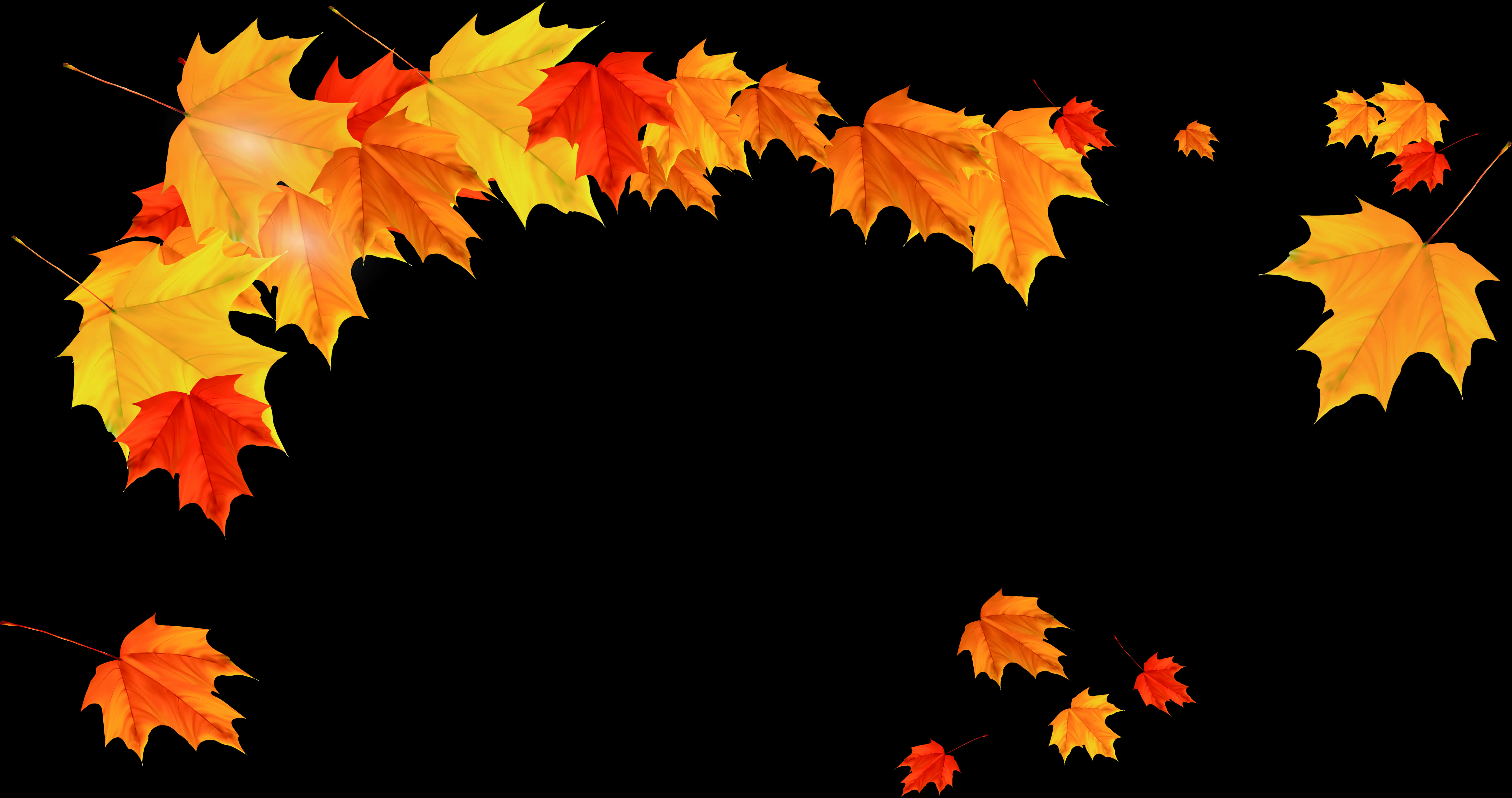 Autumn Leaves Black Background PNG Image