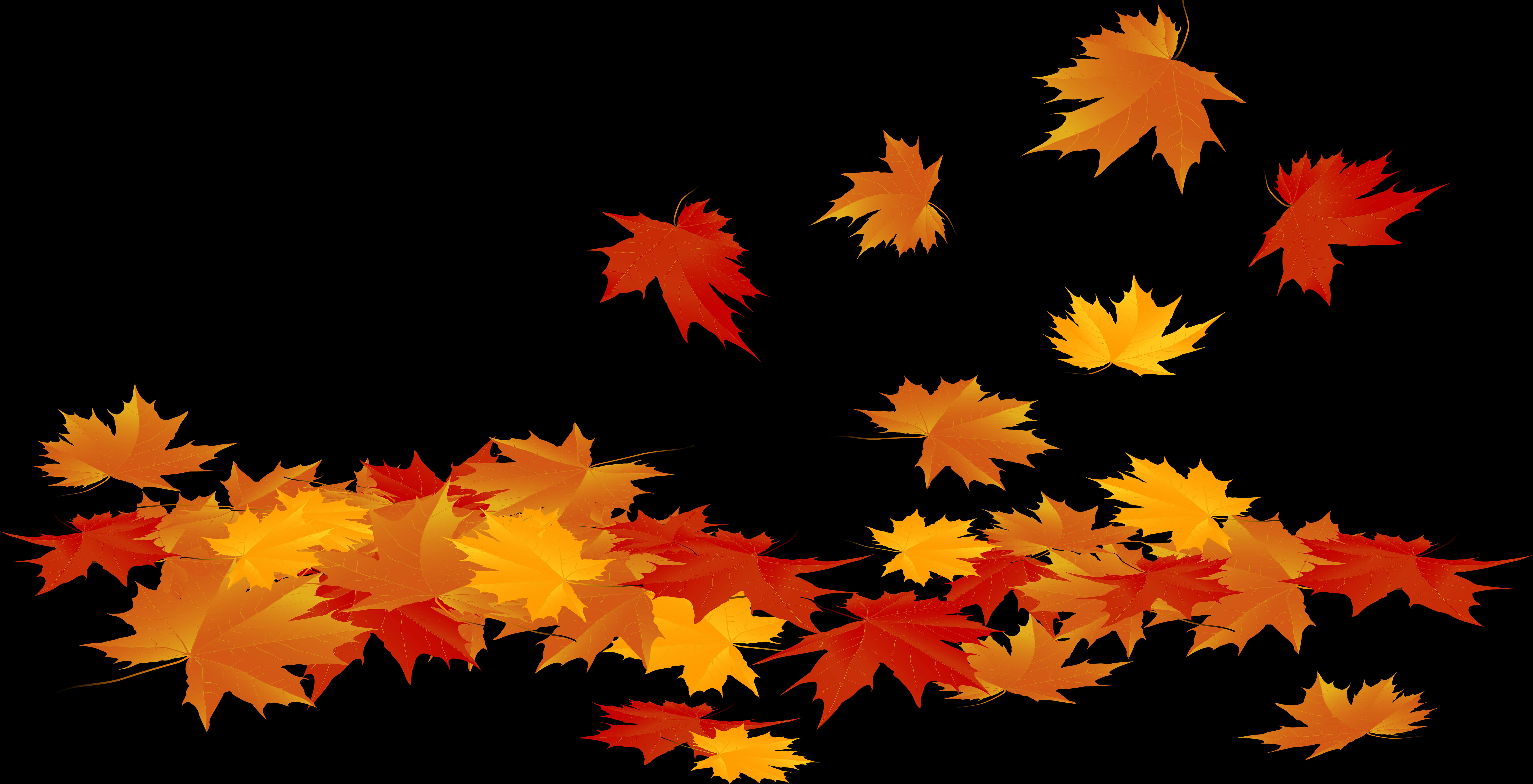 Autumn Leaves Black Background PNG Image