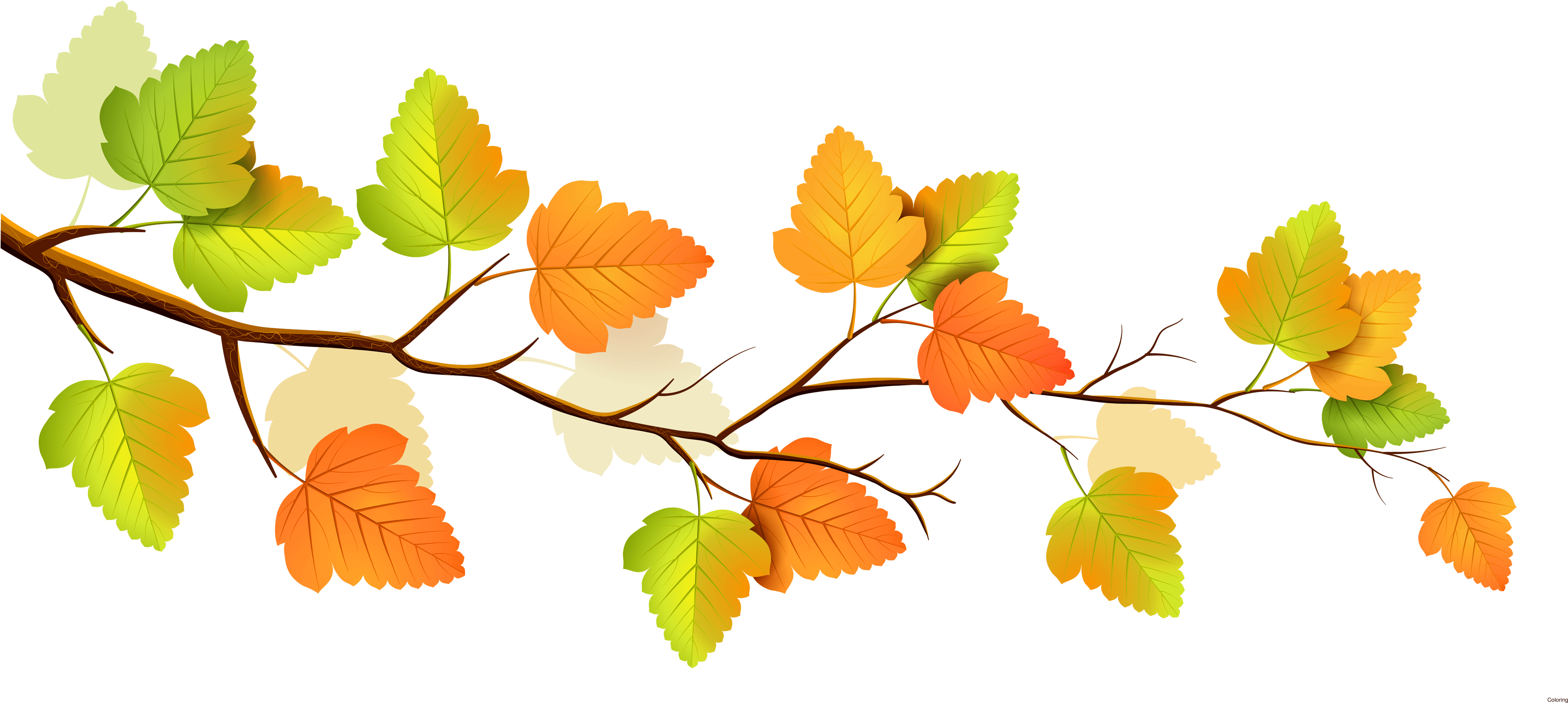 Autumn Leaves Branch Illustration PNG Image