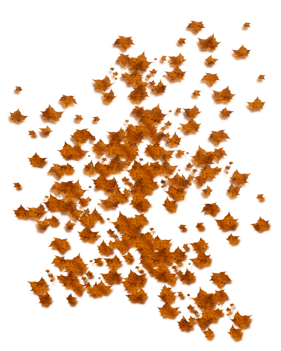 Autumn Leaves Cascade PNG Image