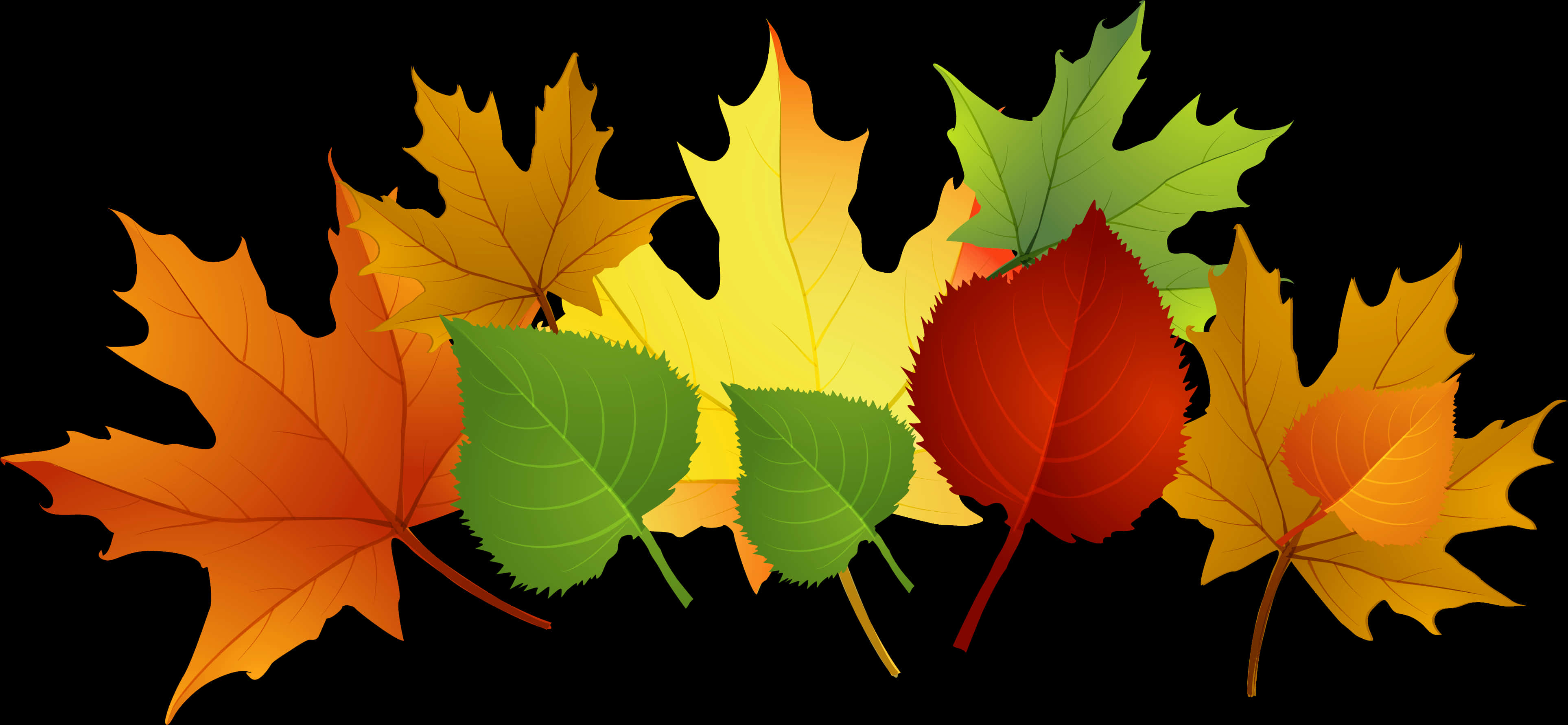 Autumn_ Leaves_ Clipart PNG Image