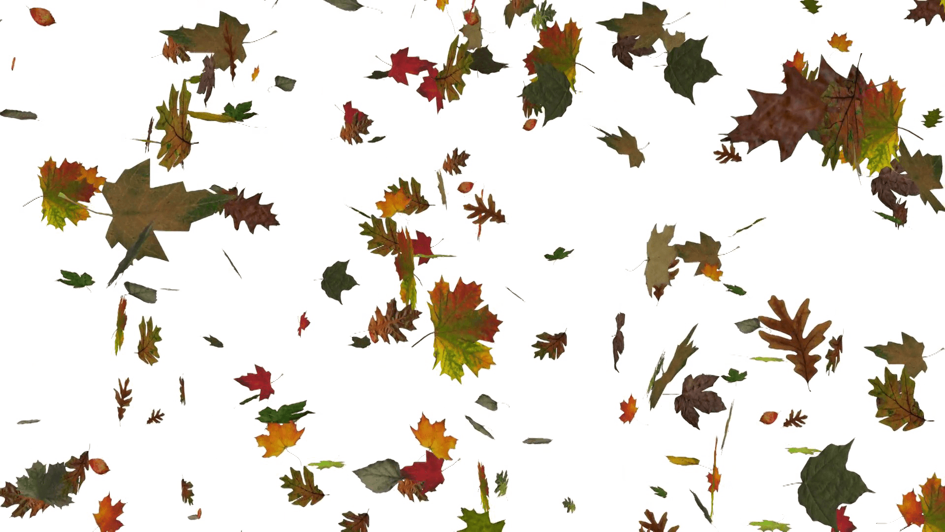 Autumn Leaves Falling Background PNG Image