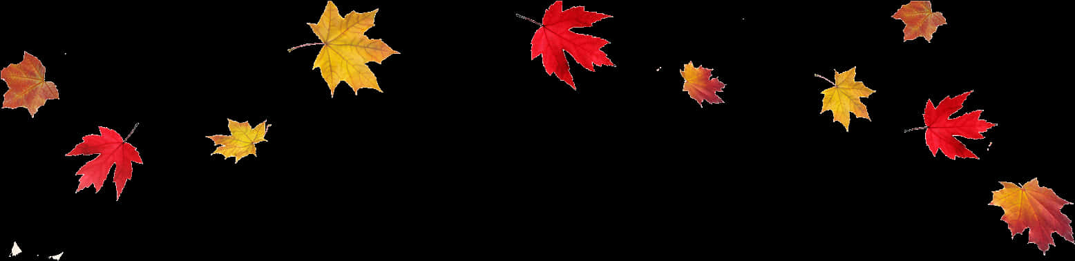 Autumn Leaves Falling Black Background PNG Image