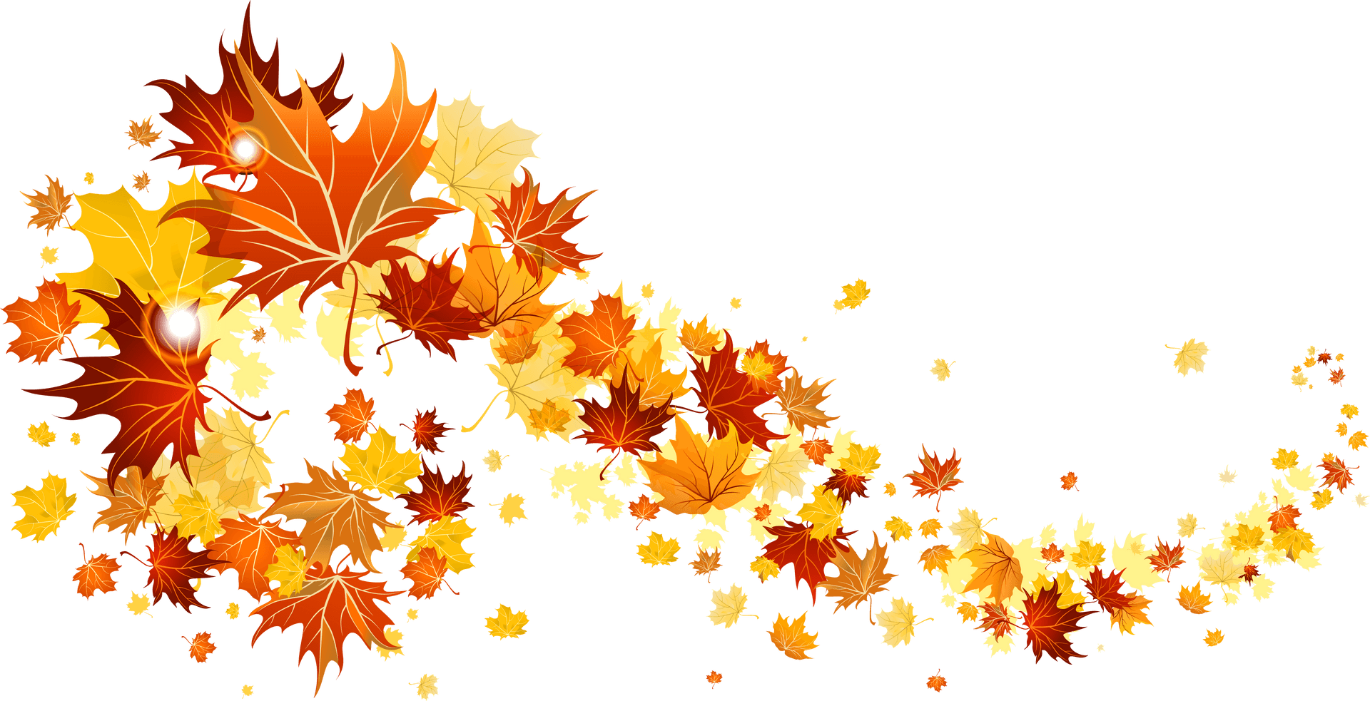 Autumn_ Leaves_ Falling_ Vector PNG Image