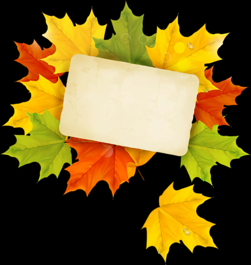 Autumn Leaves Frame Black Background PNG Image