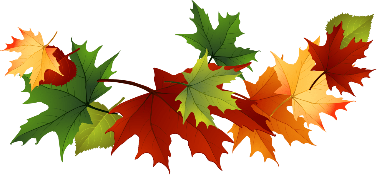 Autumn Leaves Garland PNG Image