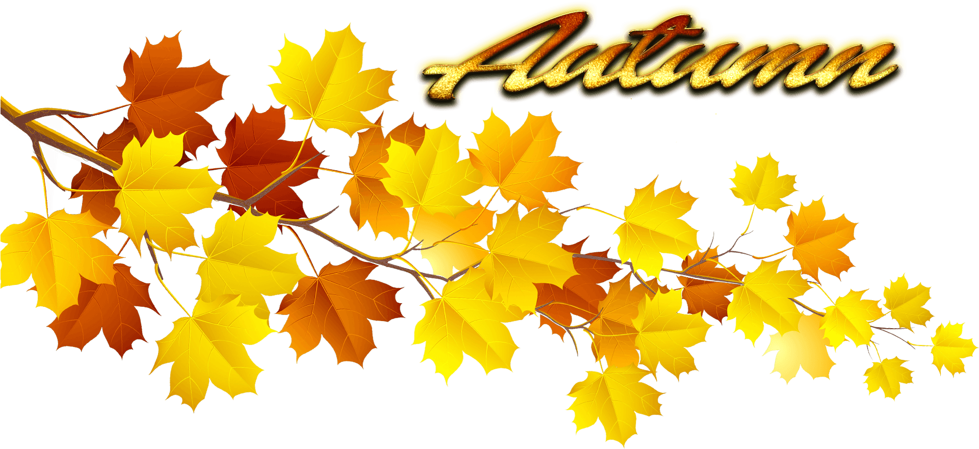 Autumn Leaves Graphic PNG Image