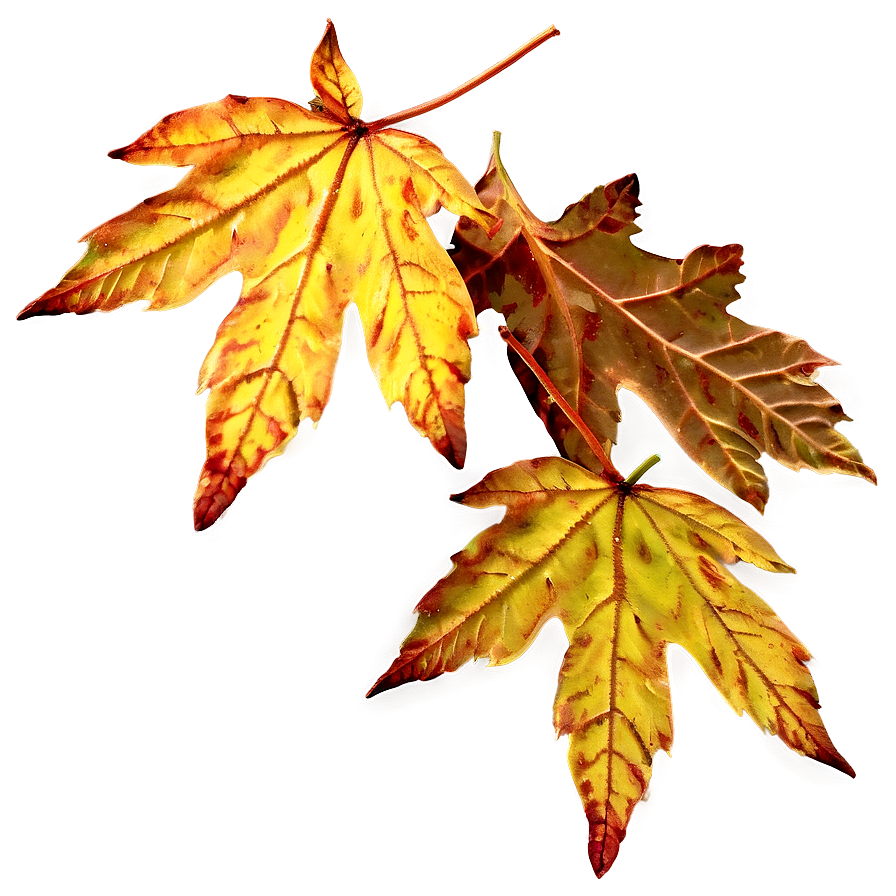 Autumn Leaves Overlay Png 05042024 PNG Image