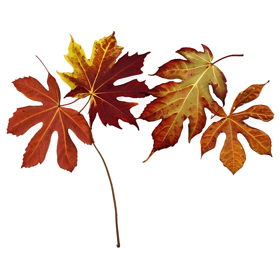 Autumn Leaves Overlay Png 05042024 PNG Image