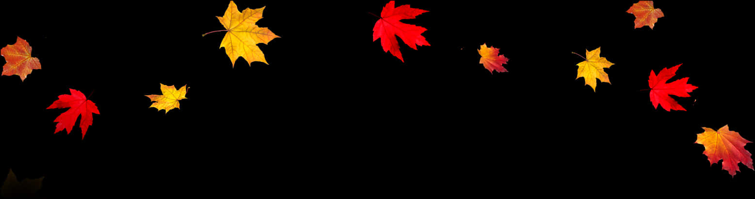 Autumn_ Leaves_ Panorama PNG Image