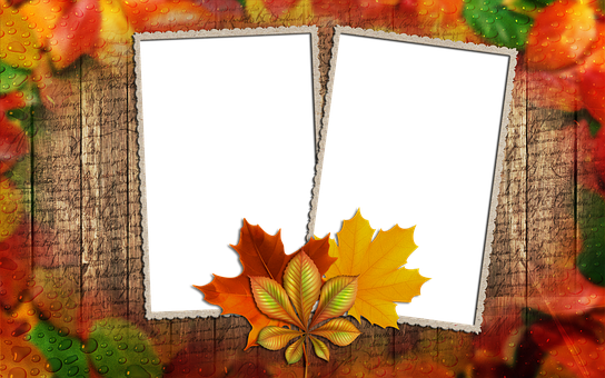 Autumn Leaves Photo Frames PNG Image