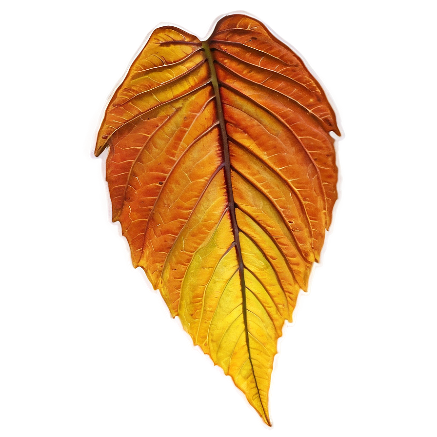 Autumn Leaves Trail Png 85 PNG Image