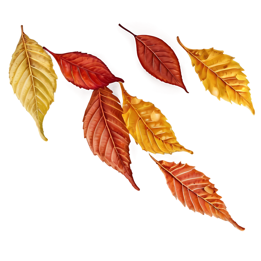 Autumn Leaves Trail Png Icf67 PNG Image