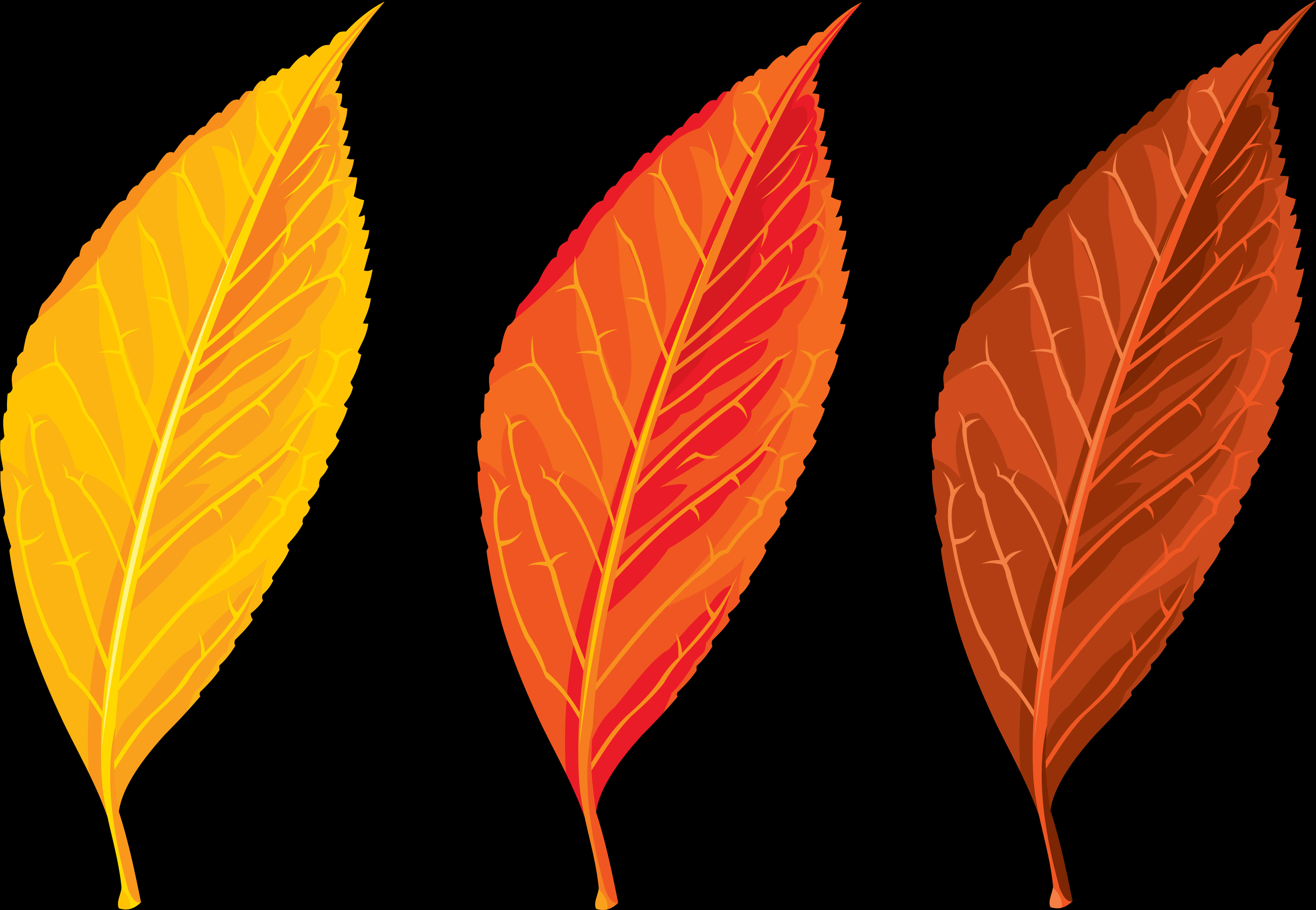 Autumn Leaves Vector Clipart PNG Image