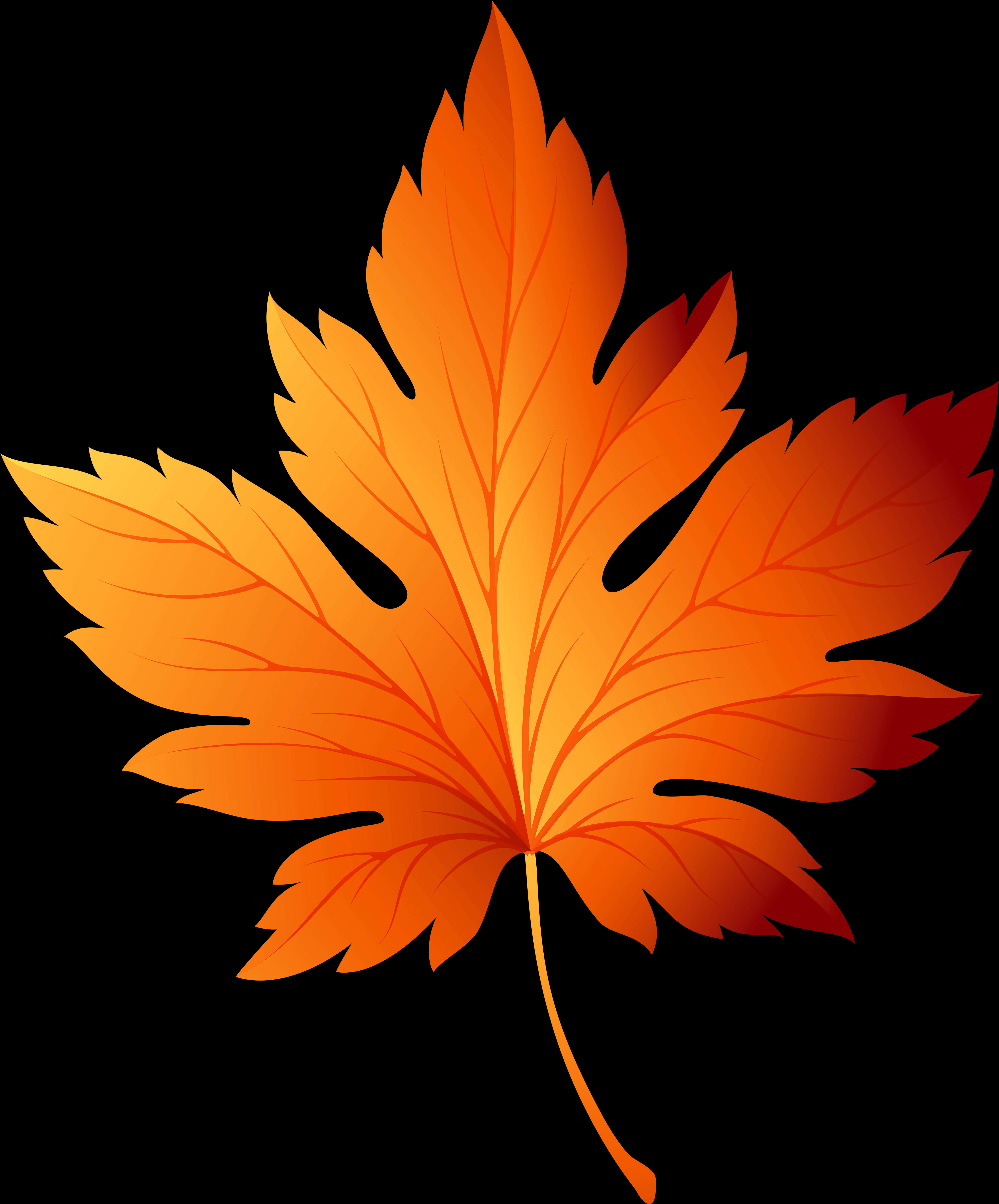 Autumn Maple Leaf Graphic PNG Image