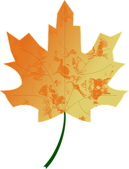 Autumn Maple Leaf Illustration PNG Image