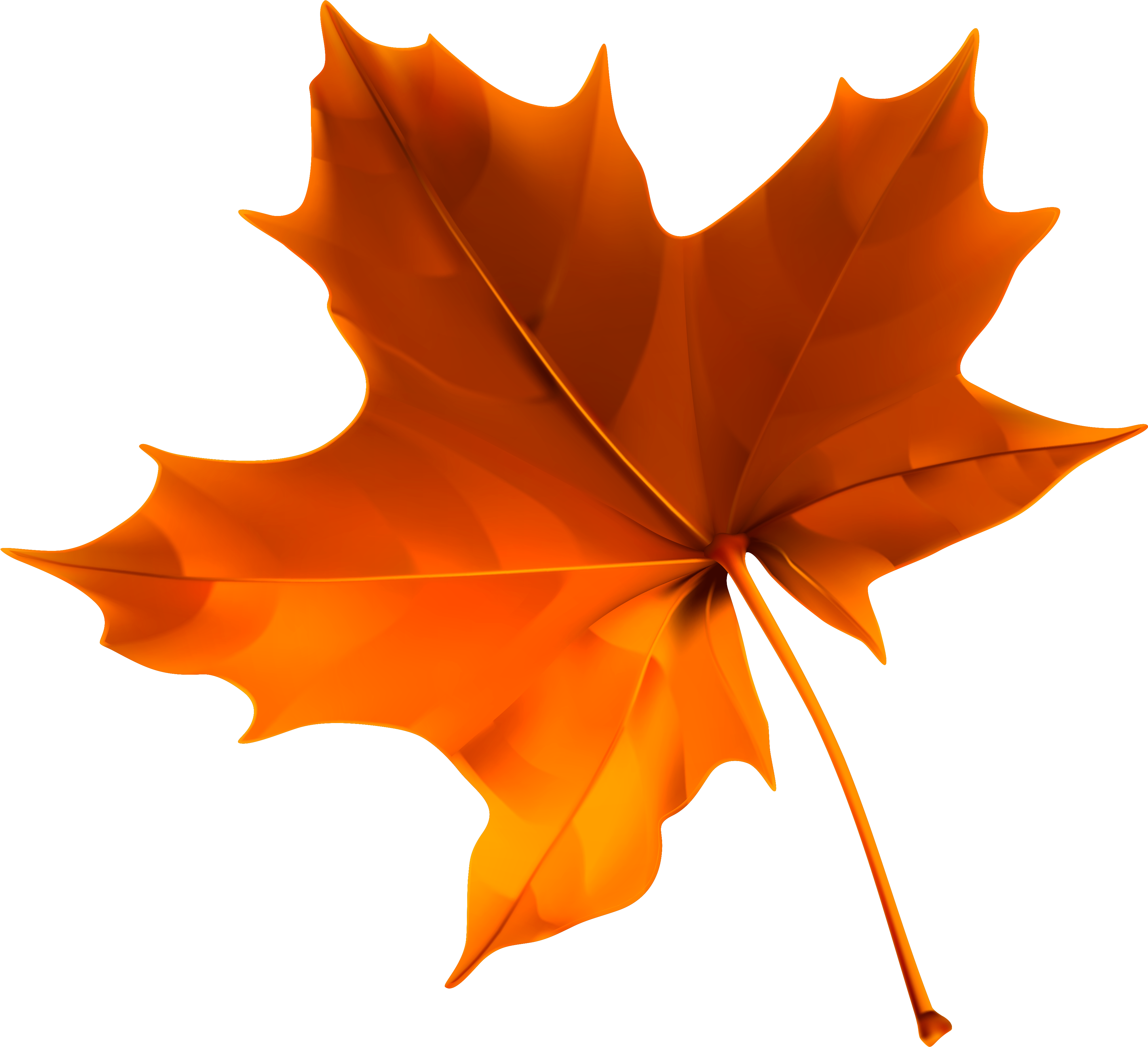 Autumn Maple Leaf Isolated PNG Image