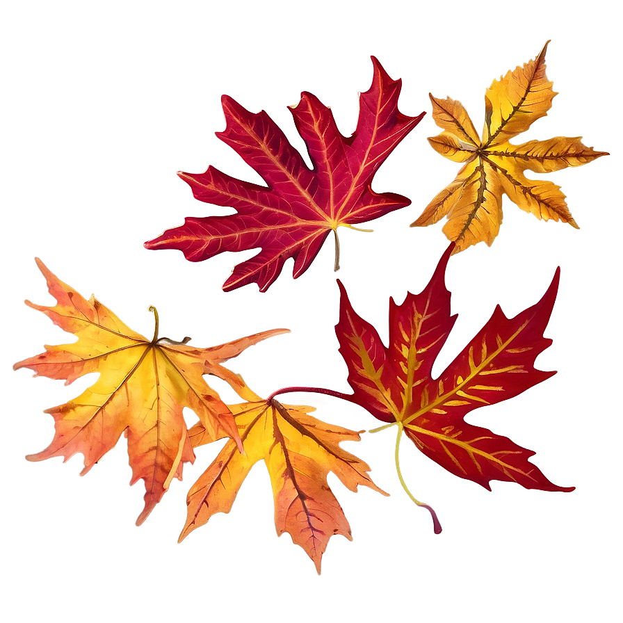 Autumn Maple Leaves Png 46 PNG Image