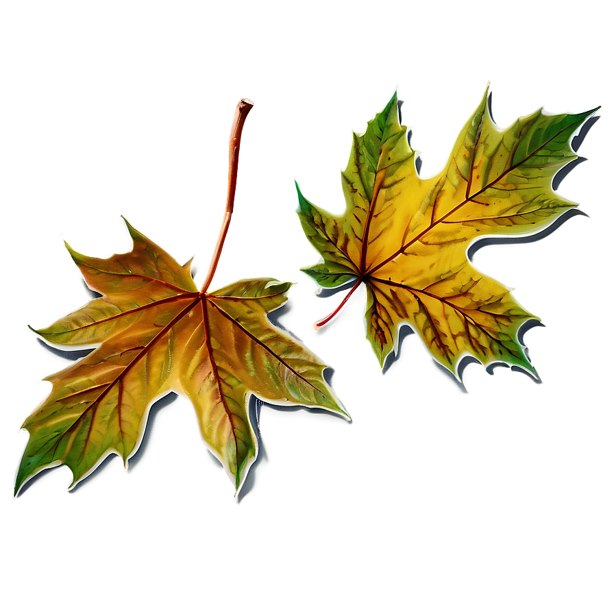 Autumn Maple Leaves Png 76 PNG Image