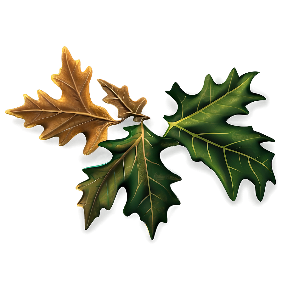 Autumn Oak Leaves Png 36 PNG Image