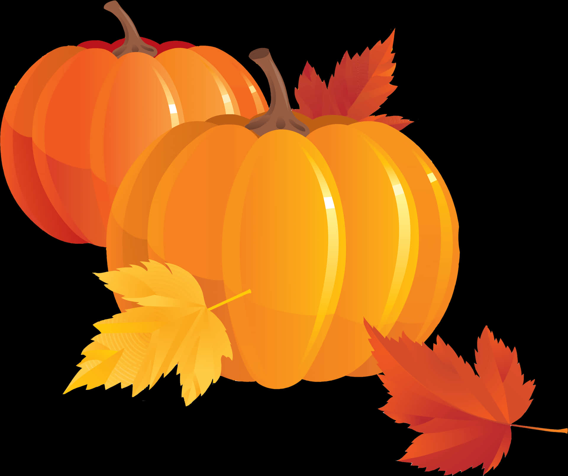 Autumn Pumpkinsand Leaves PNG Image