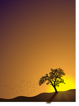 Autumn Sunset Silhouette PNG Image