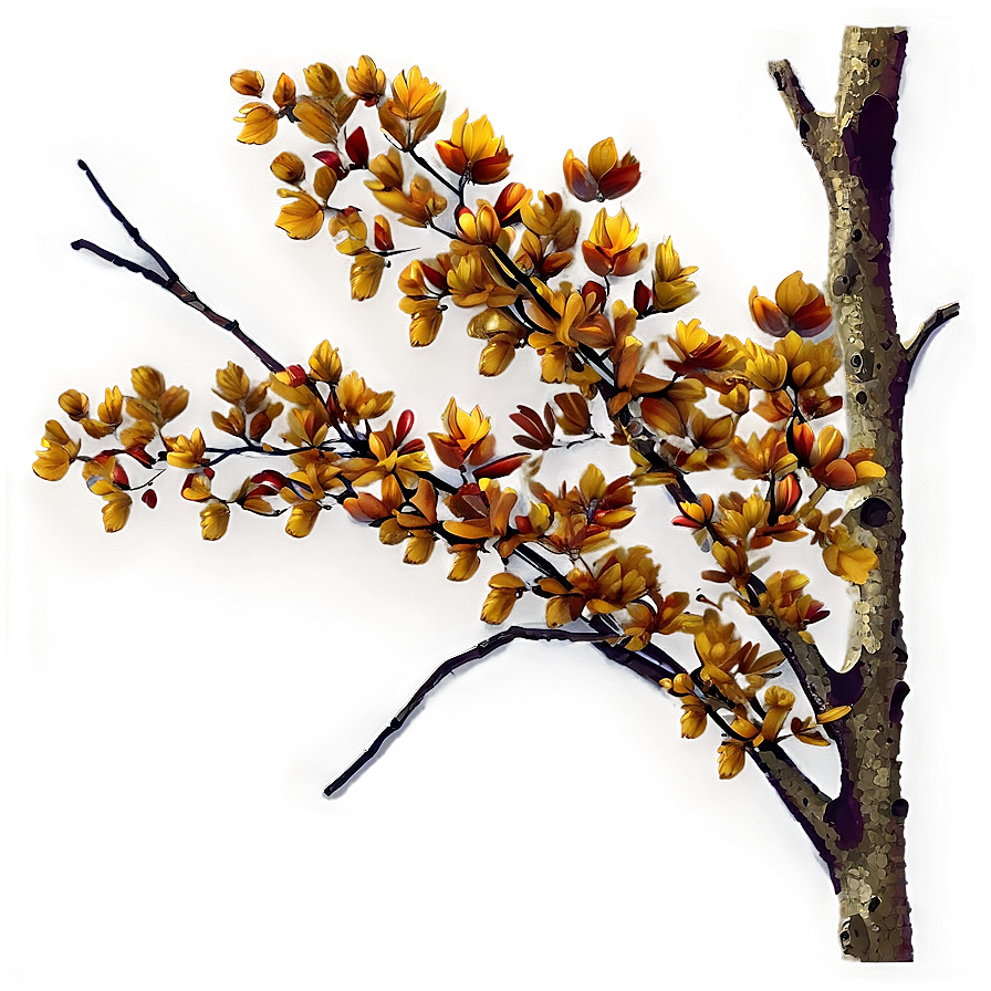 Autumn Tree Branches Png Ndt PNG Image