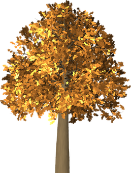 Autumn Tree Illustration PNG Image