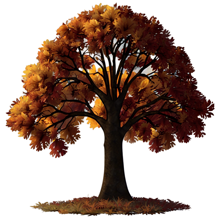 Autumn Tree Sunset Png 85 PNG Image