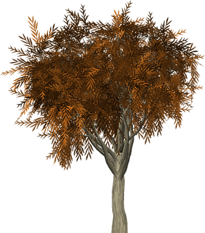 Autumn Tree3 D Model PNG Image