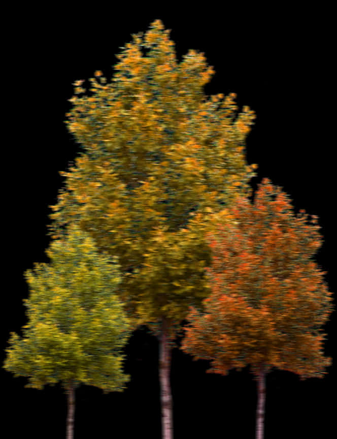 Autumn Trees Black Background PNG Image