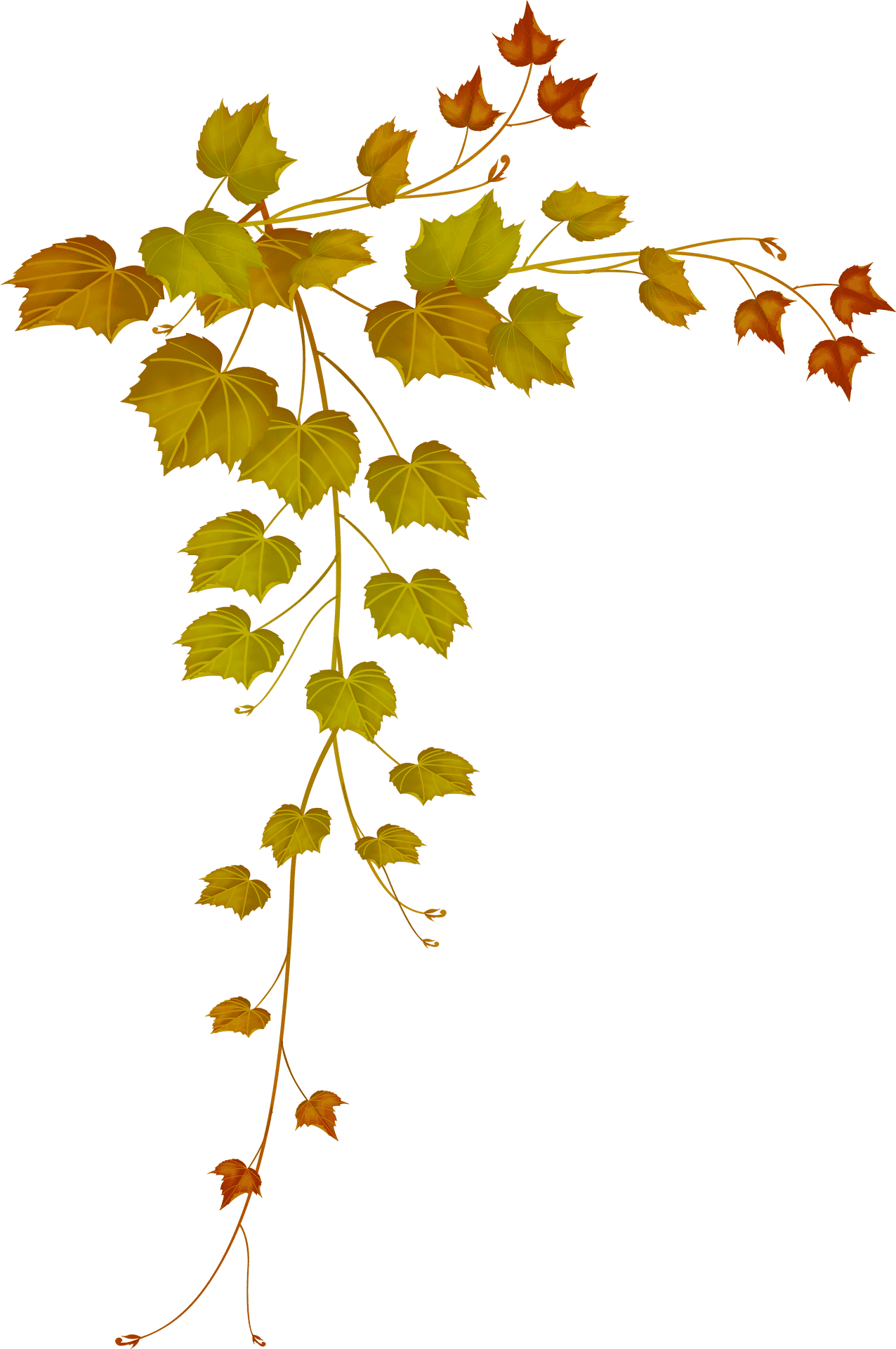 Autumn Vine Leaves Frame PNG Image