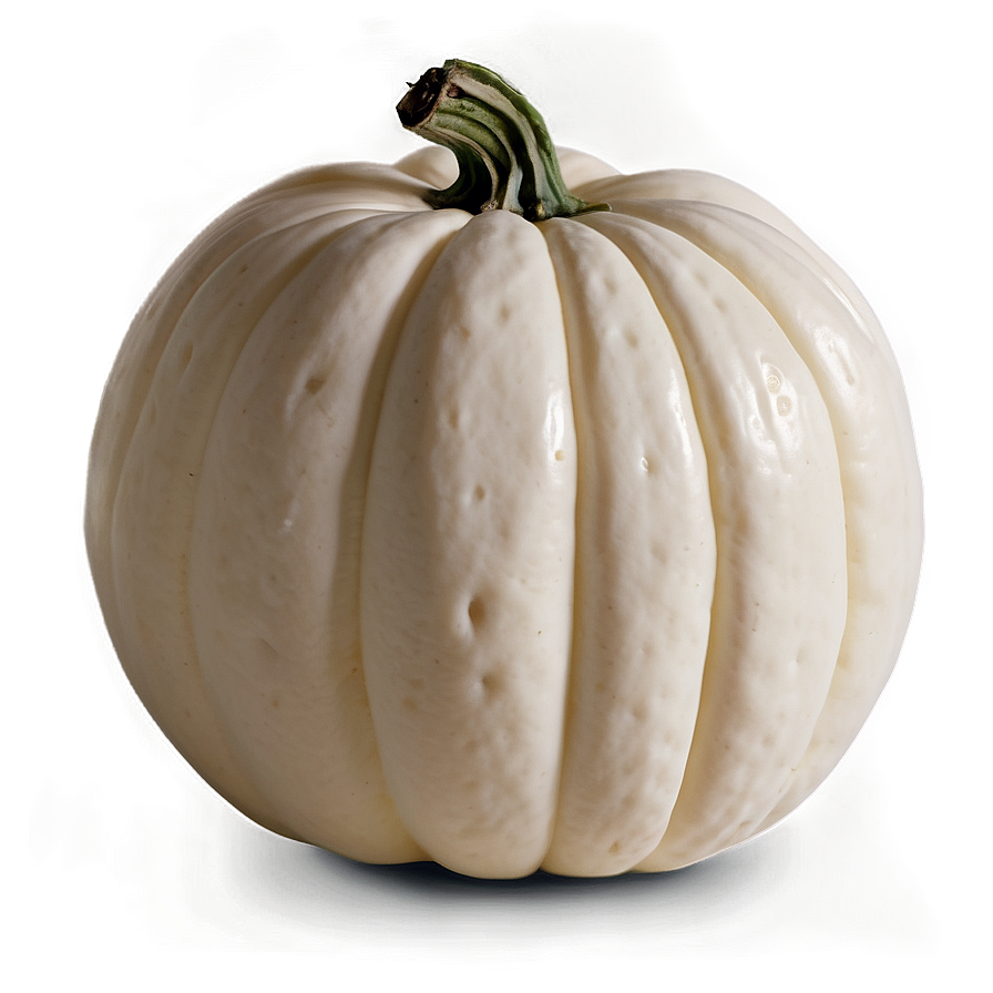 Autumn White Pumpkin Png 45 PNG Image