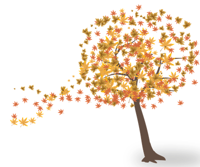 Autumn Wind Tree Illustration PNG Image