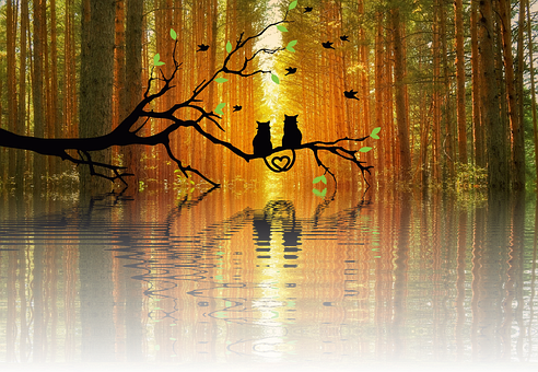 Autumnal Love Reflection PNG Image