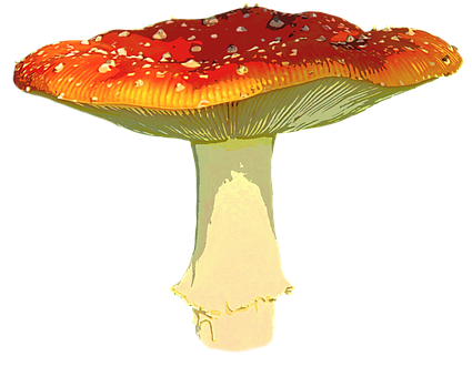 Autumnal Red Mushroom PNG Image