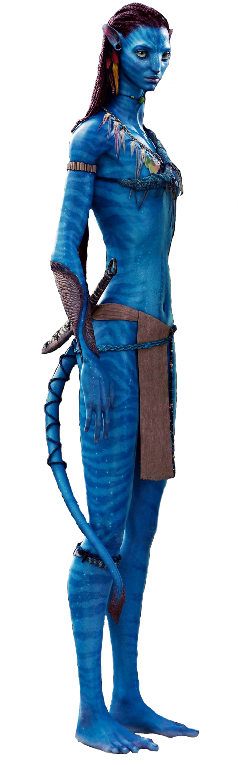 Avatar Na'vi Character Standing PNG Image