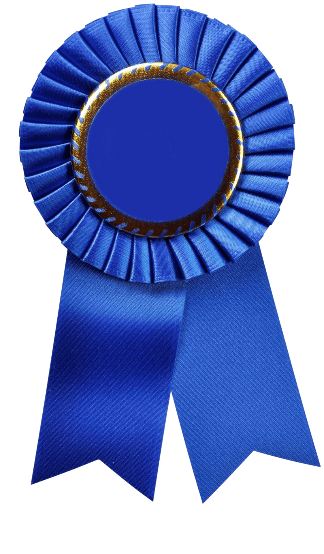 Award Winning Blue Ribbon.png PNG Image