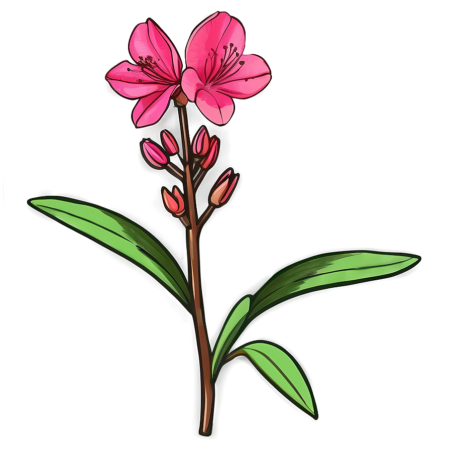 Azalea Flower Sketch Png 05252024 PNG Image