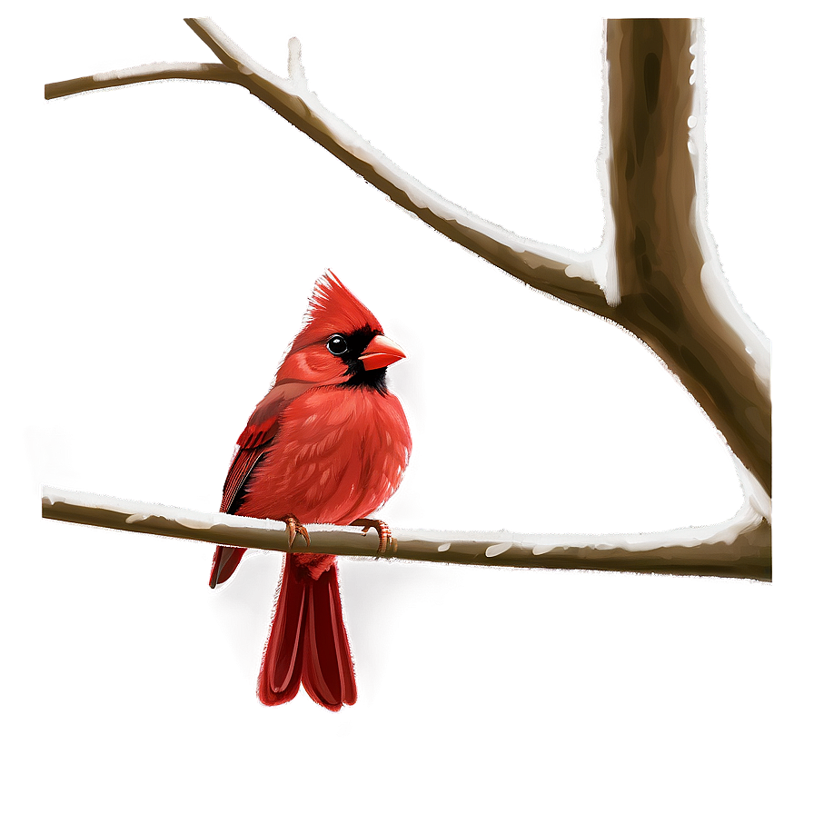 Baby Cardinal Png 27 PNG Image