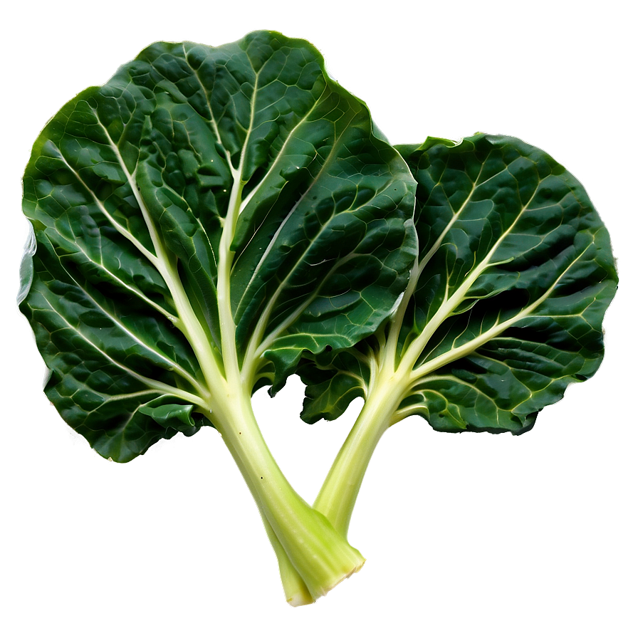 Baby Collard Greens Png 13 PNG Image